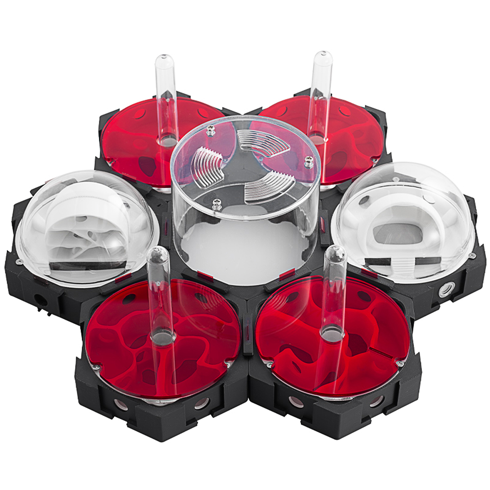 3D Printing Ant Nest Infinitel - Begonia Rex ulasan dan harga