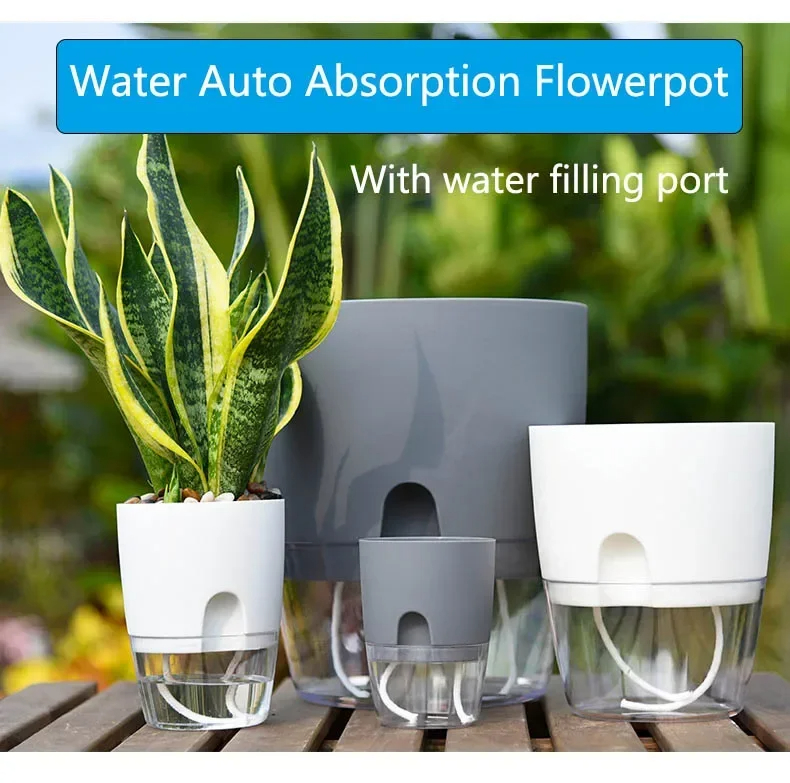 Transparent Double Layer Plast - Aloe Vera Pot ulasan dan harga